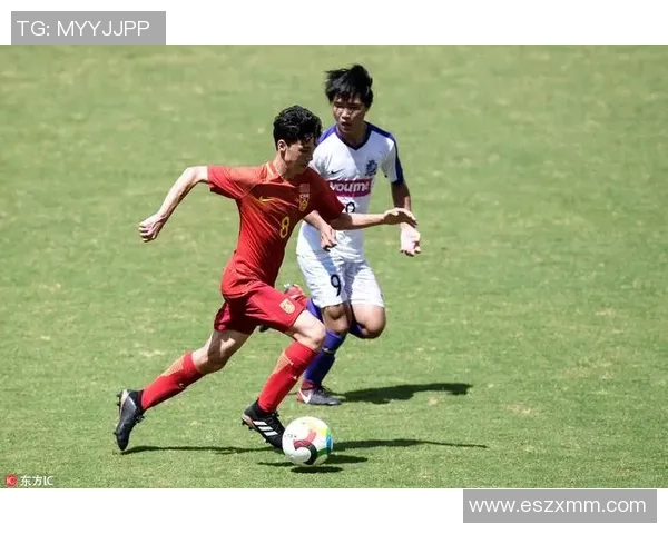 杭州排球队阵地战革新探索新战术提升竞技水平与团队协作能力