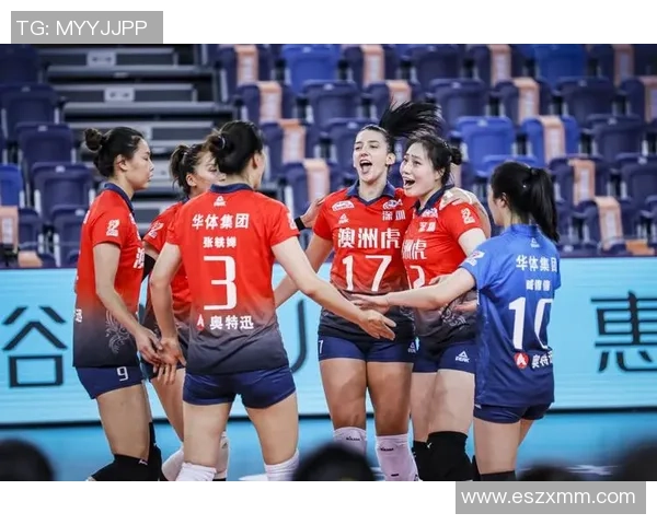 深圳排球队技术实力强劲荣登全国排球技术排行榜第七名
